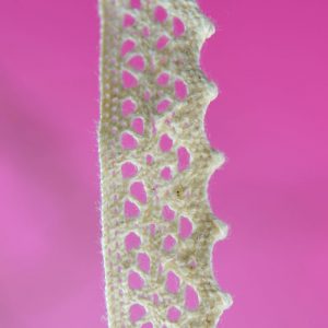 0.5" Cotton Lace Natural 25 Mtr Card - Click Image to Close